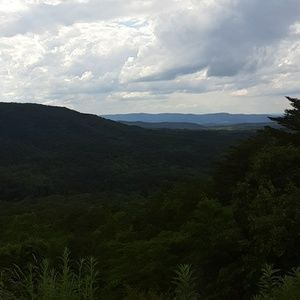 Meet your Posher, Waylon